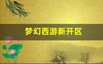 梦幻西游新开区 (3)