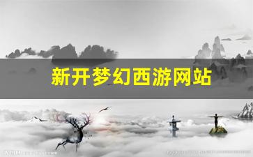新开梦幻西游网站 (11)