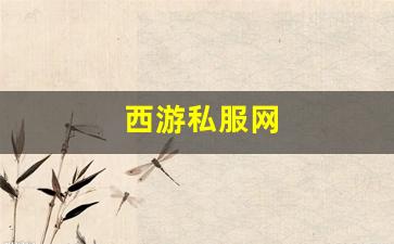 梦幻西游s：西游私服网 (4)
