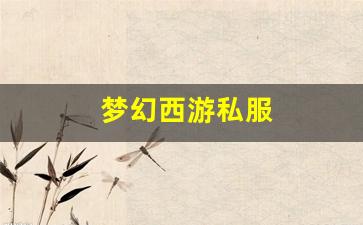 梦幻西游私服(网易梦幻西游手游官服官网) (4)