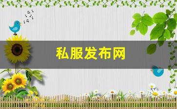 私服发布网(sf999传奇新服网) (7)