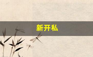 新开私(新开私人仓库)