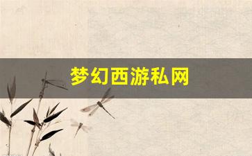 梦幻西游私网(梦幻西游私sf官网) (8)