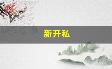 梦幻私服：新开私(新开私股) (5)