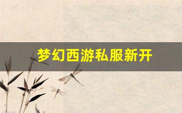 梦幻西游私服新开(梦幻西游手游吧)