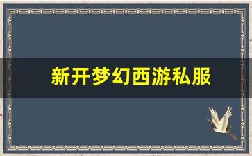 梦幻西游吧：新开梦幻西游私服(梦幻西游手游吧) (17)