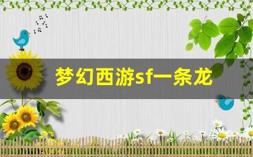 梦幻西游sf一条龙(梦幻西游一条龙什么意思)