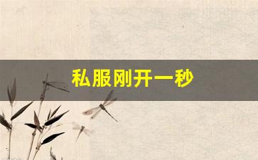 私服刚开一秒(刚开一秒单职业传奇sf) (5)