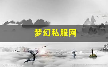 新开sf：梦幻私服网 (11)