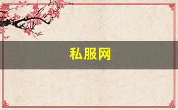 私服网(手游私sf平台) (17)