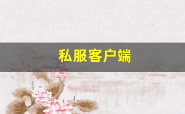 私服客户端 (15)