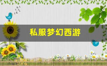 最新梦幻西游：私服梦幻西游 (2)