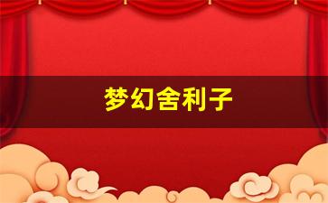 好sf发布网：梦幻舍利子(梦幻舍利子多少钱一粒) (17)