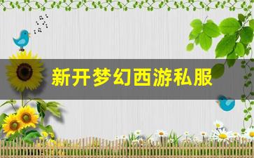 梦幻西游怀旧版sf：新开梦幻西游私服(梦幻西游手游吧) (9)