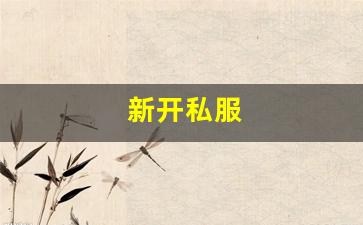 梦幻脚本：新开私服(传奇新开服网站大全) (6)